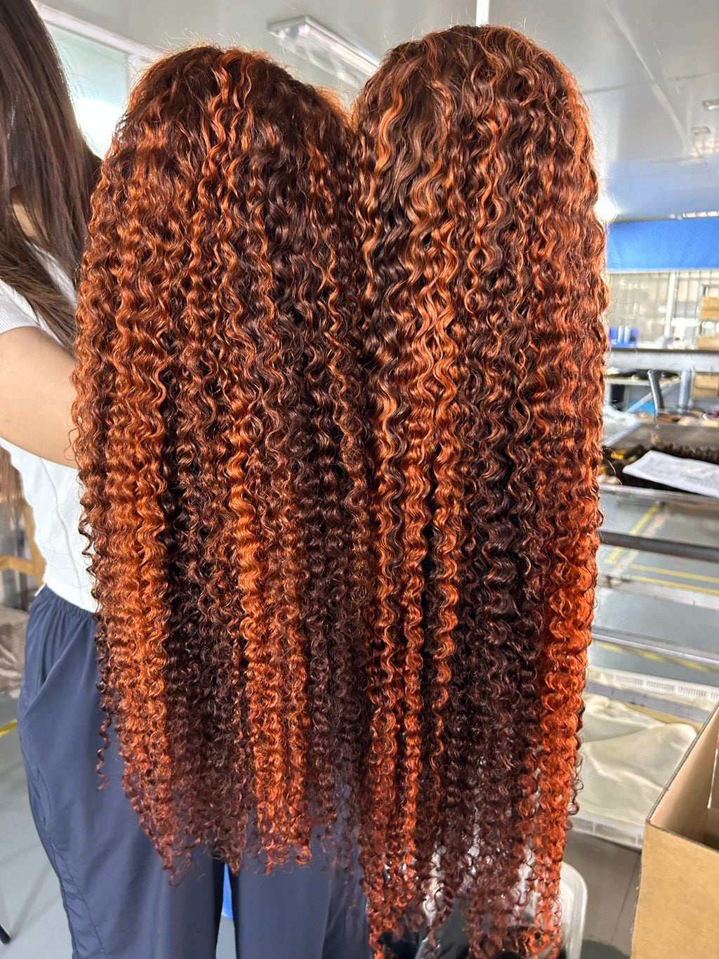 Burmese Curly