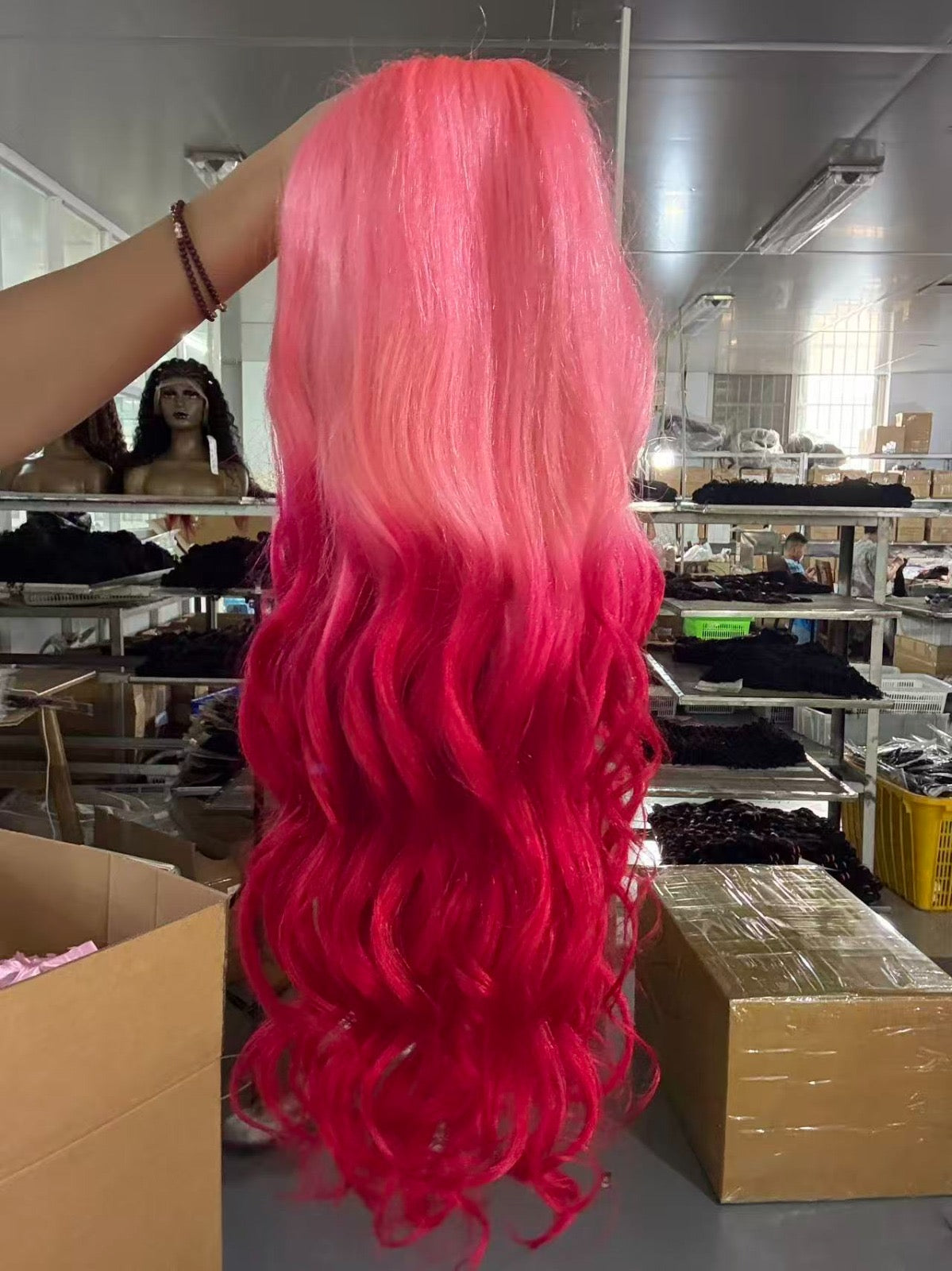 Dream Color Collection