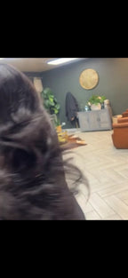 Luxury Ponytails